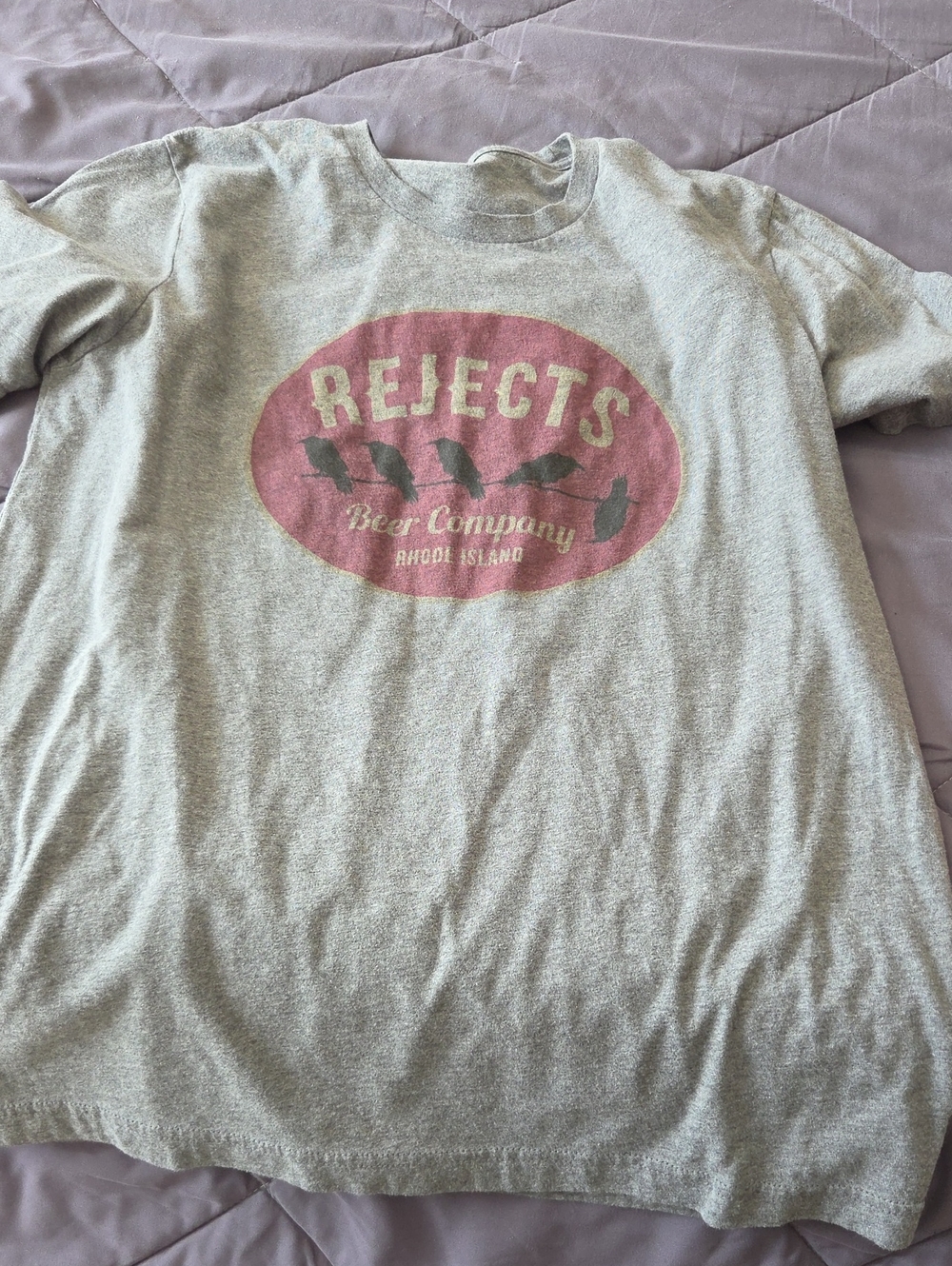 Short Sleeve Graphic Tee - Grey with Red Logo